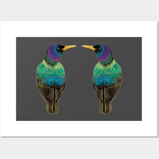Starling love Posters and Art